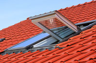 Cranoe roof window