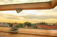 rated Cranoe roof window companies